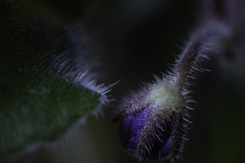 Photograph by Ирина Филиппова