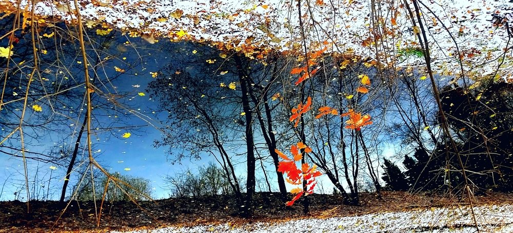 Отражения осени