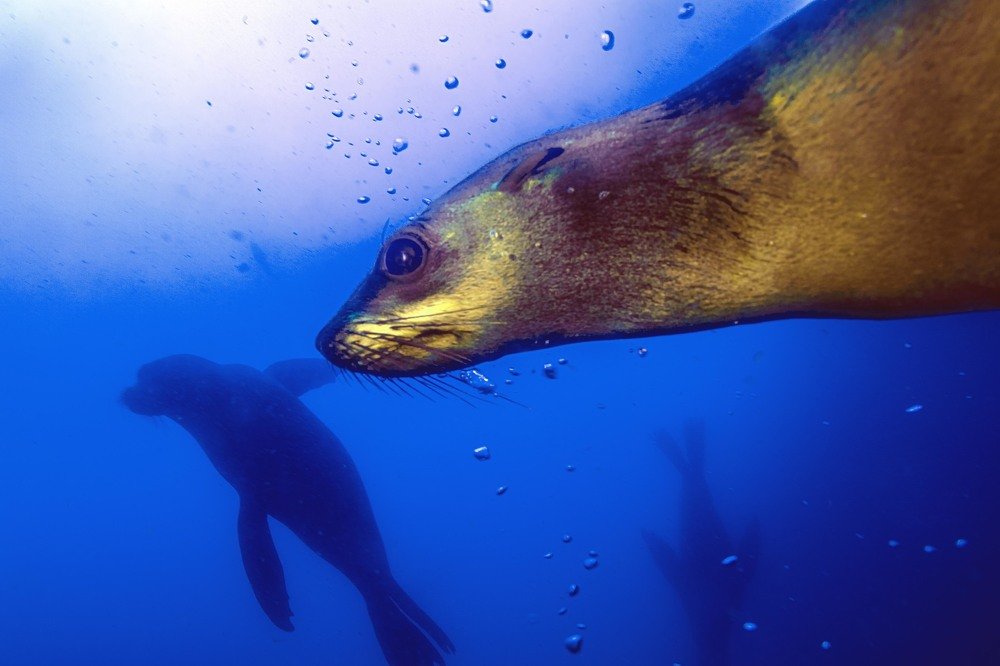 Photograph by Peet J Van Eeden