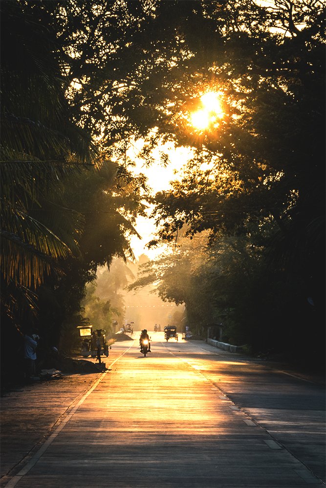 Photograph by vincent Lecolley