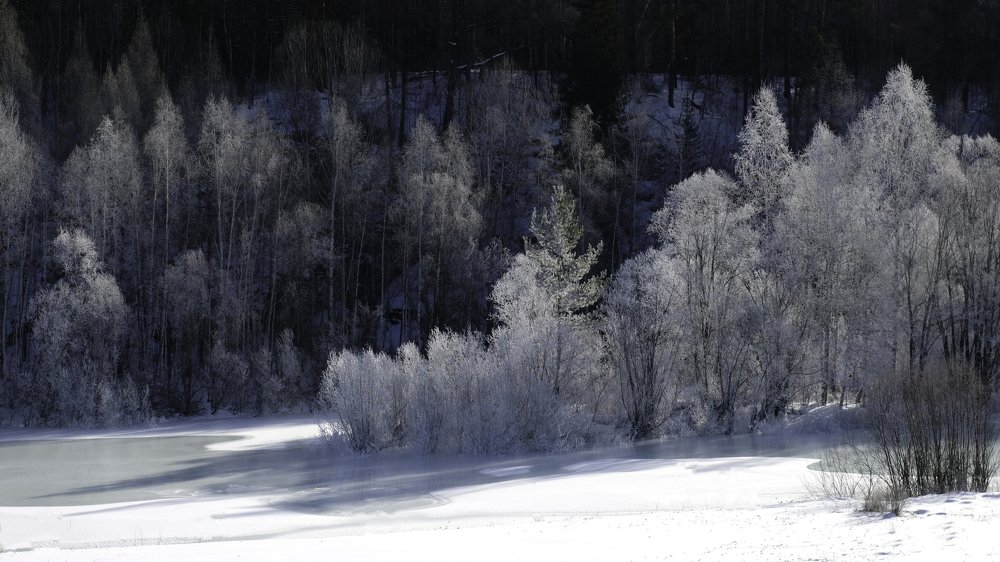 Фотография автора soo mui loh