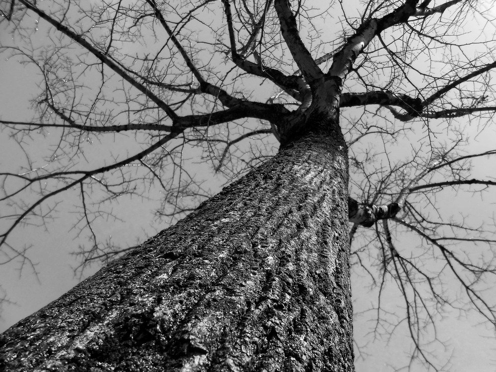 Photograph by Ana Morais