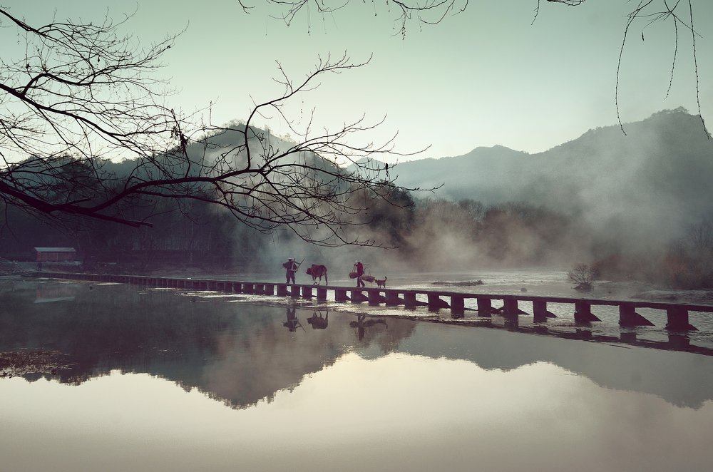 Фотография автора soo mui loh