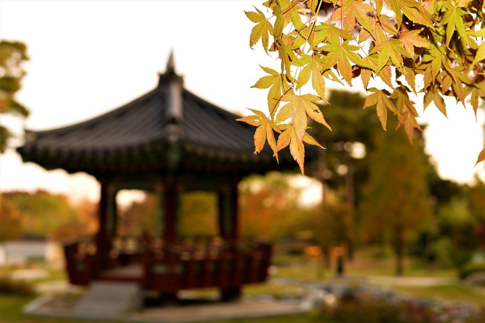 Photograph by arnold lito