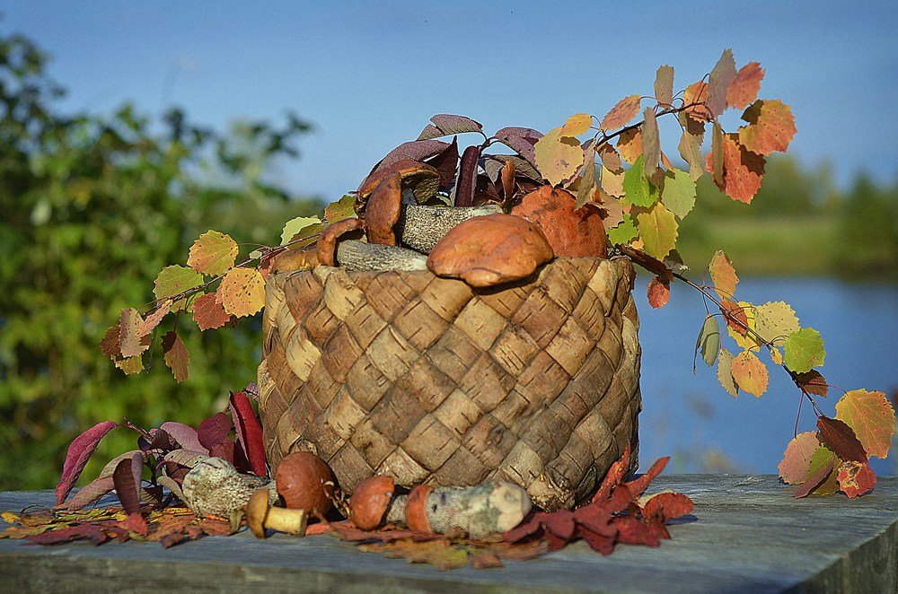 Photograph by Соколова Елена