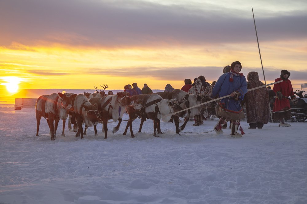 Фотография автора евгений митрошин