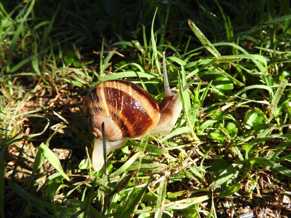 Photograph by Cristina Bosio Ferrer