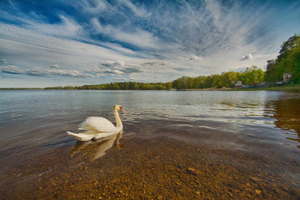 Photograph by Julija JKv