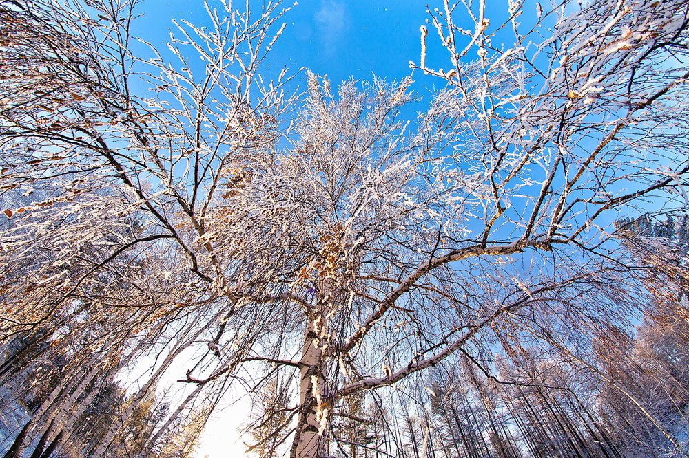 Photograph by Максимова Ольга Васильевна
