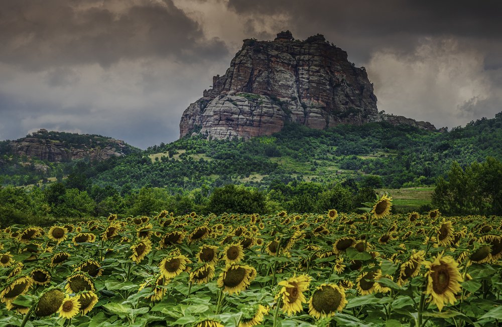 Photograph by Venelin Dimitrov