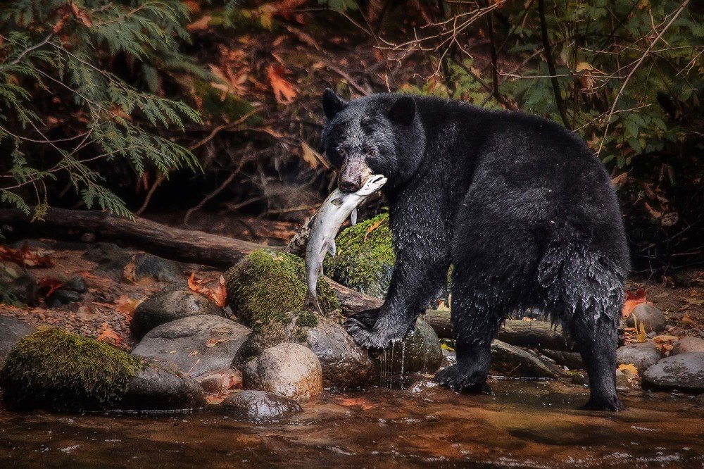 Photograph by Leah Laurie