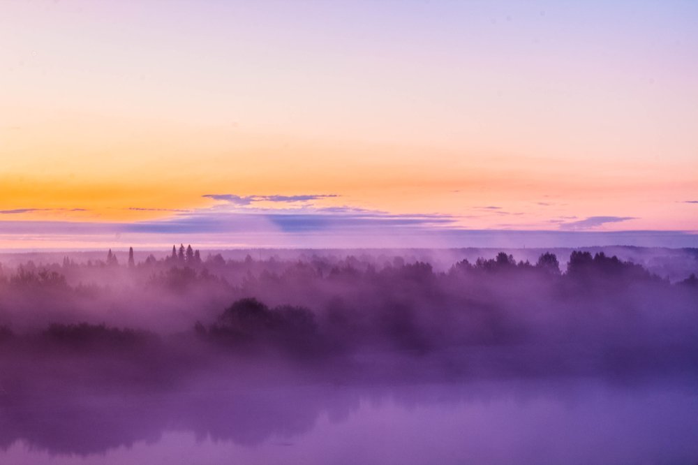 Розовый рассвет