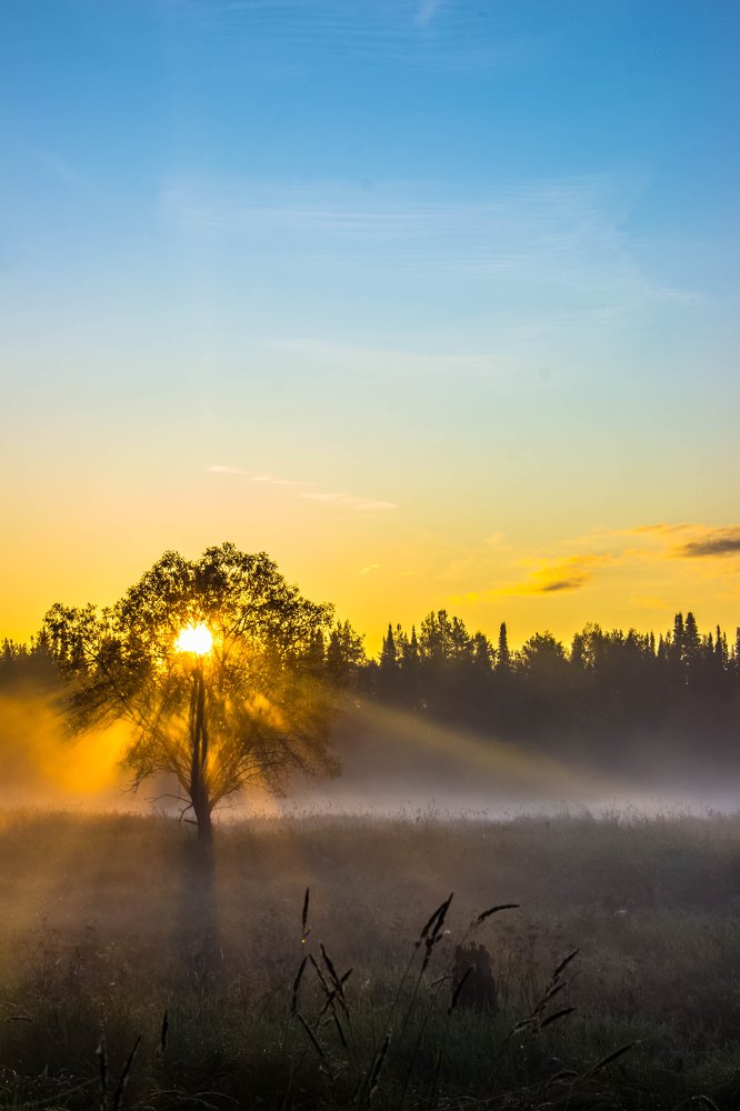 Первые лучики солнца
