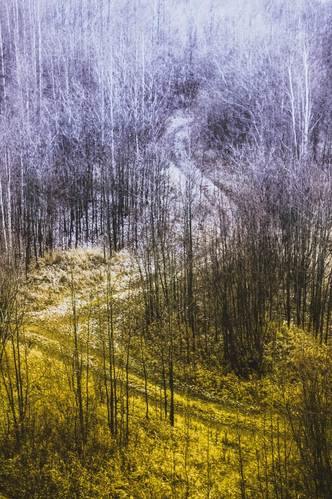 Зима или осень?