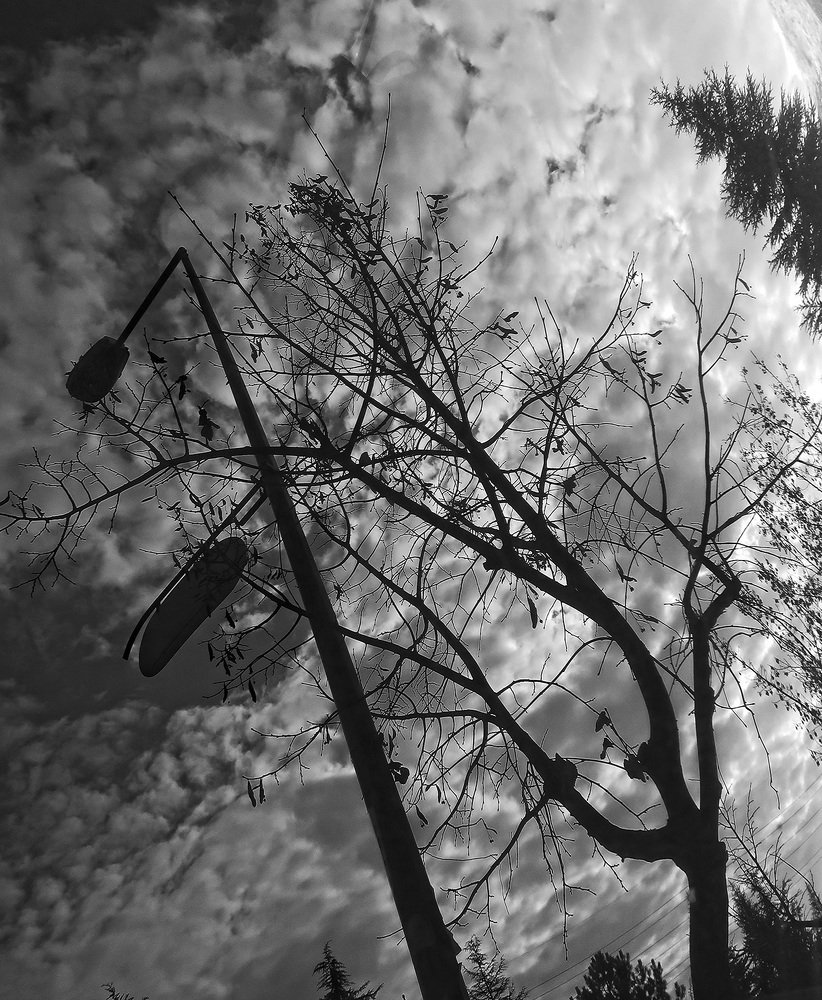 Photograph by Beyza
