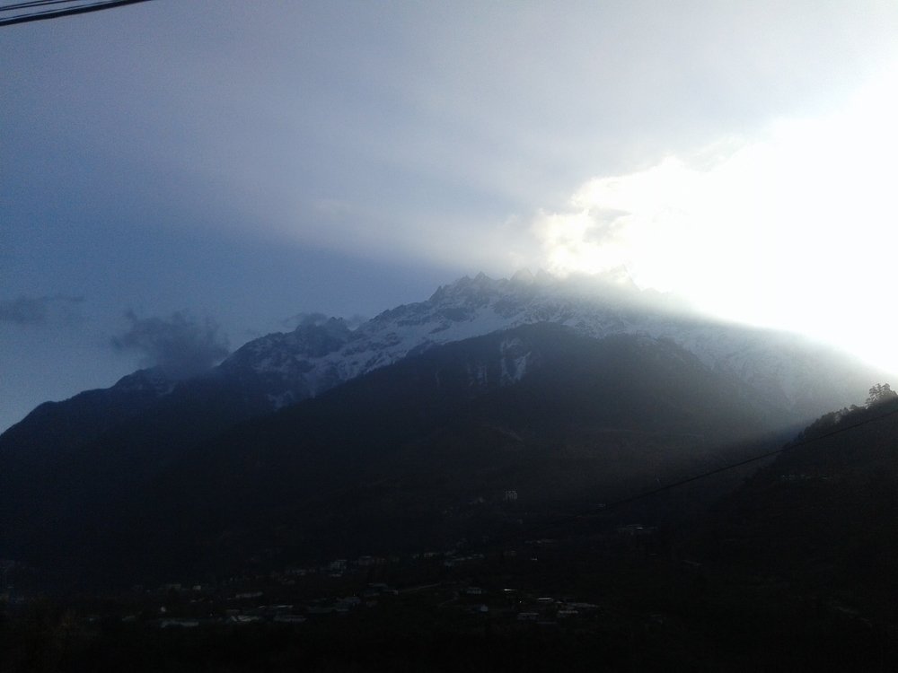 Photo #4379439