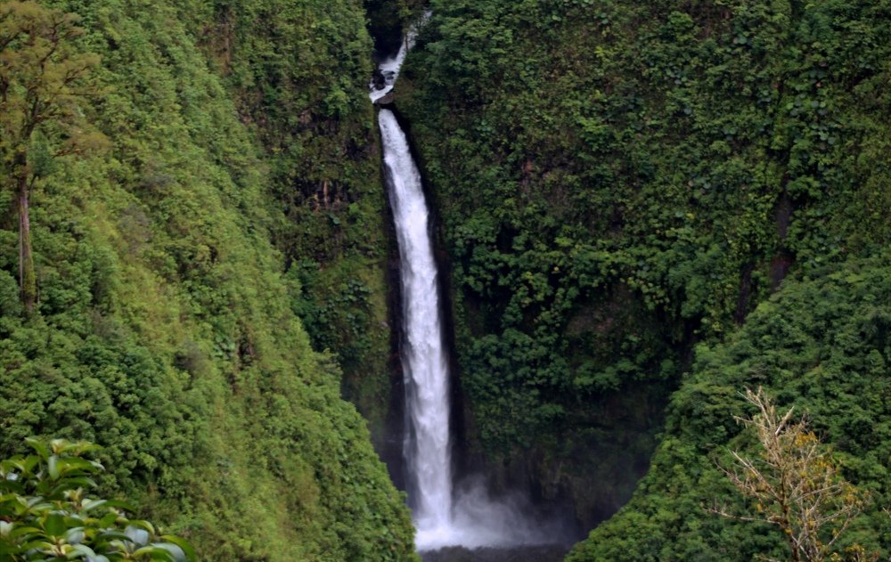 Photograph by Abel Alberto Ruiz Domínguez