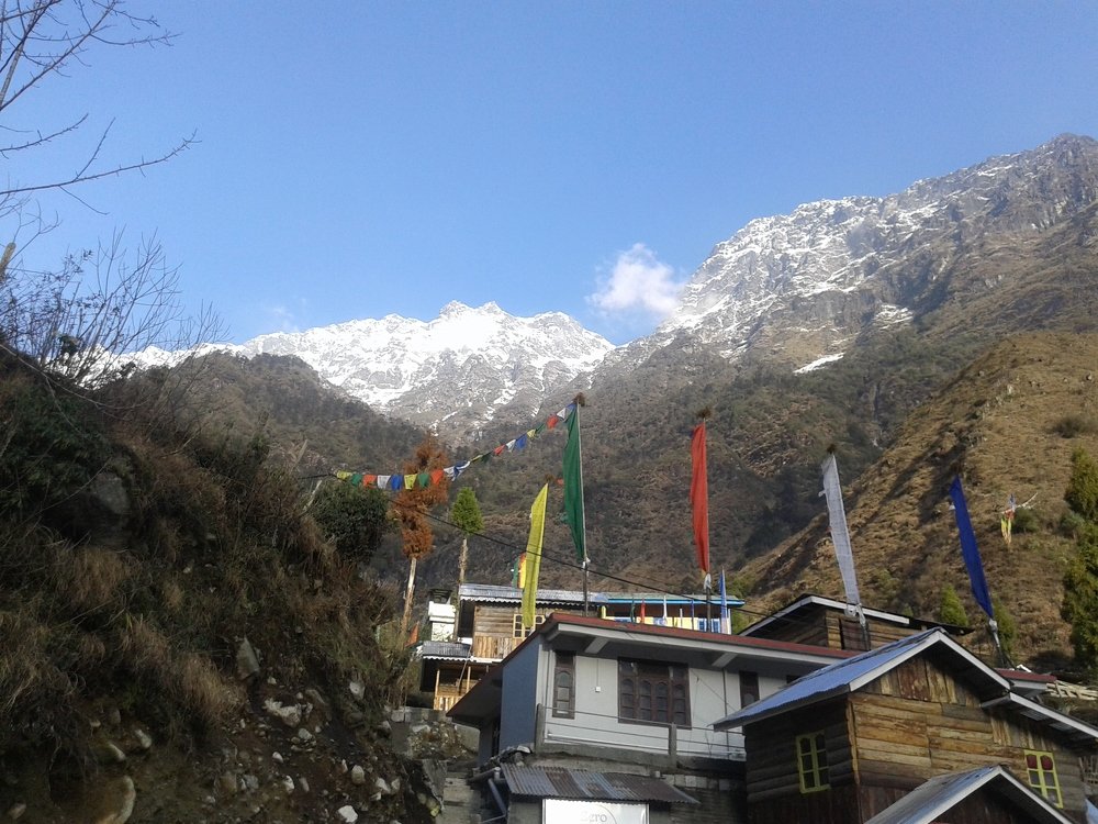 Photo #4379477