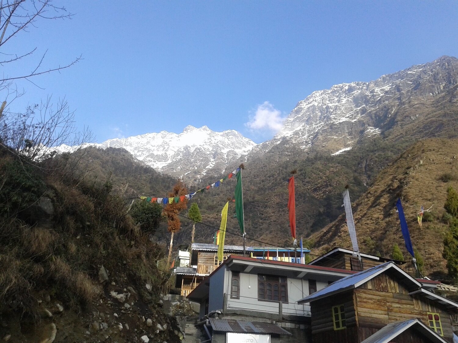 Photo #4379477
