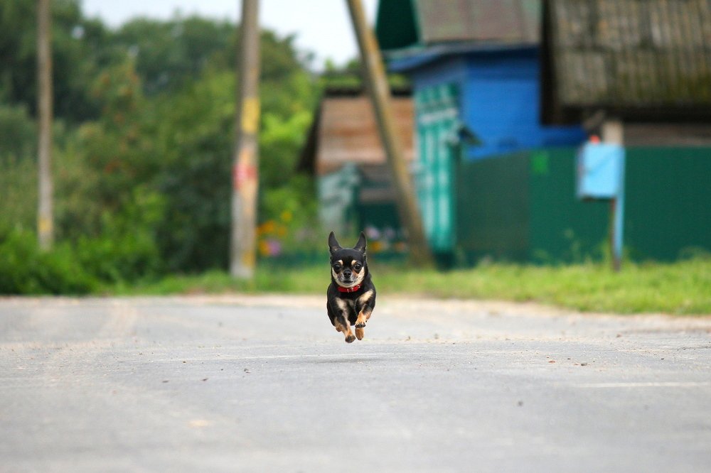 Photograph by Олег