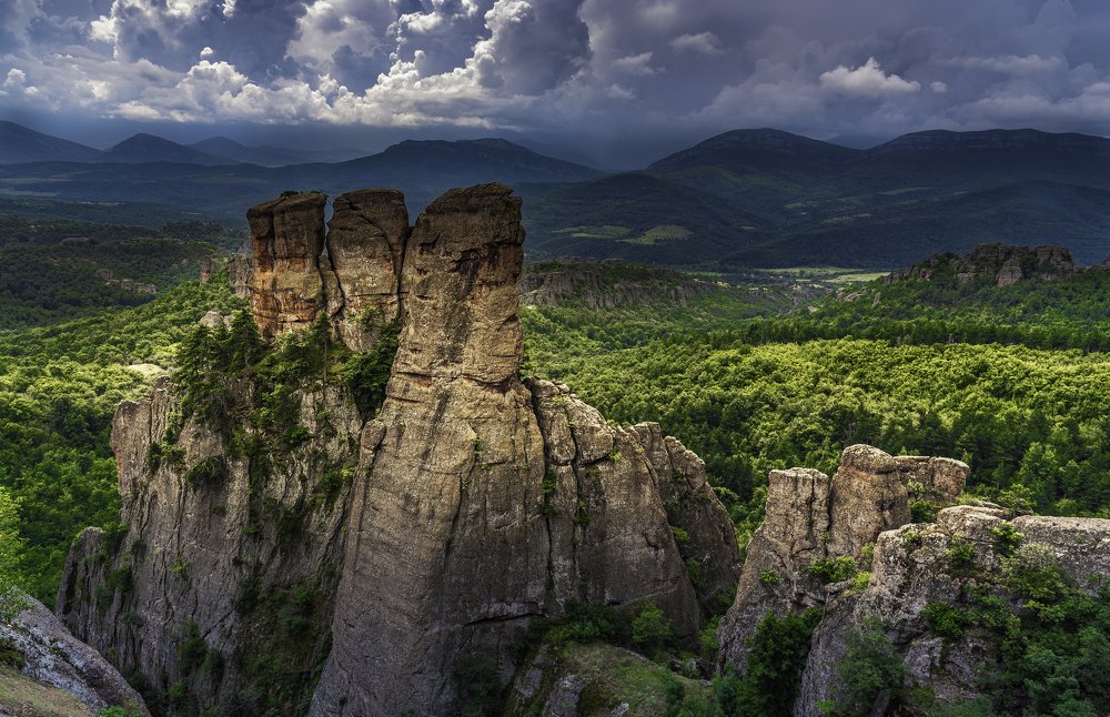 Photograph by Venelin Dimitrov