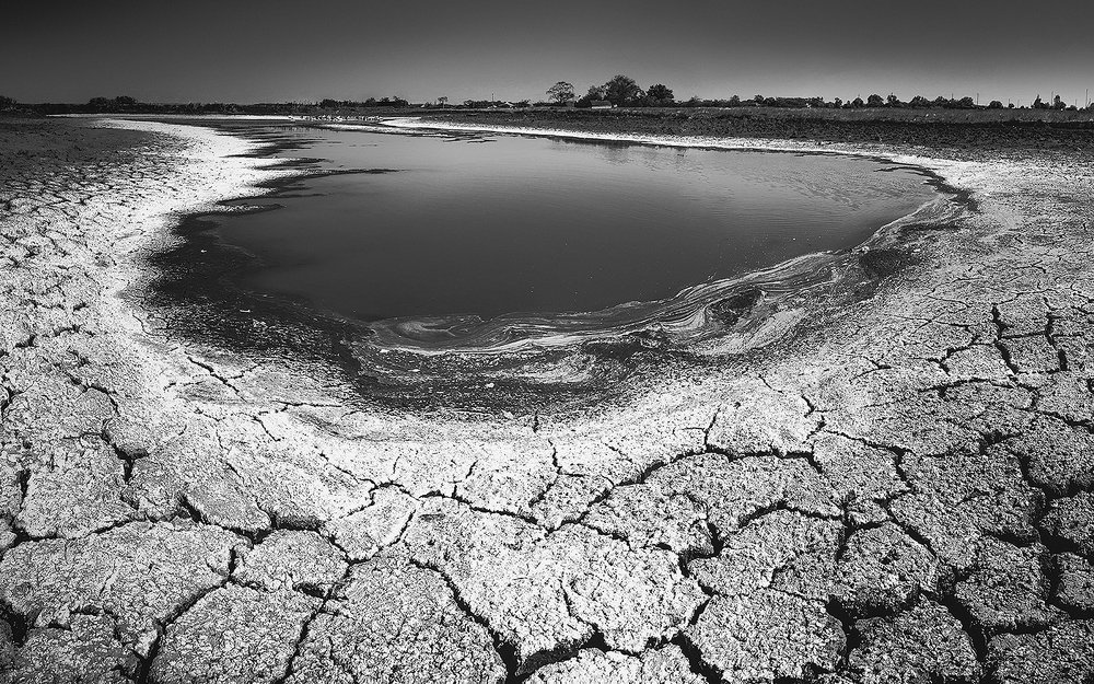 Пруд и его последняя вода. The pond and its the last of the water.