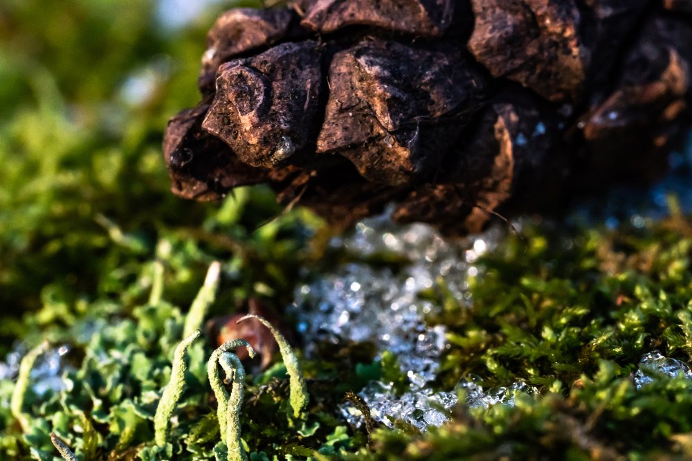 исчезающие брильянты