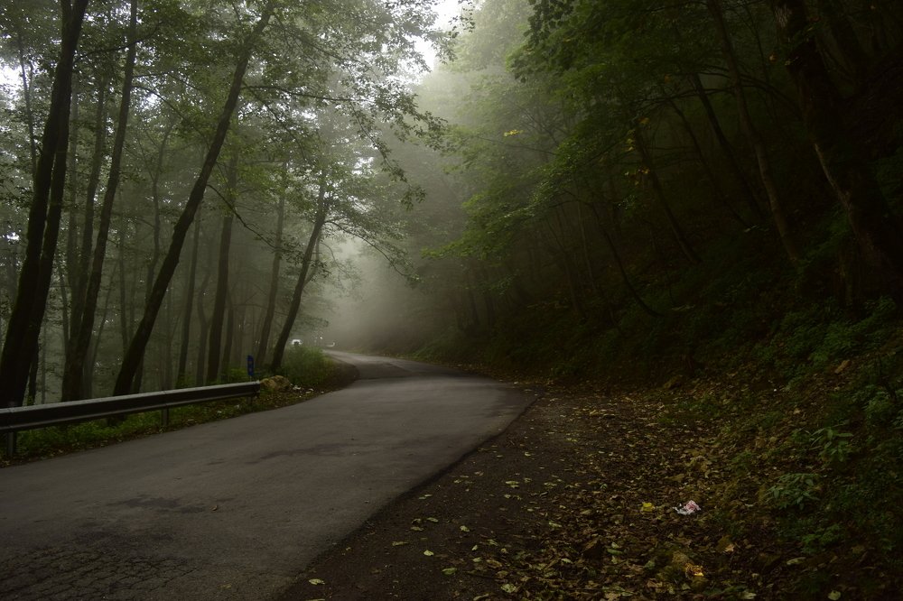 Photograph by Mohammad Hadi Riahi