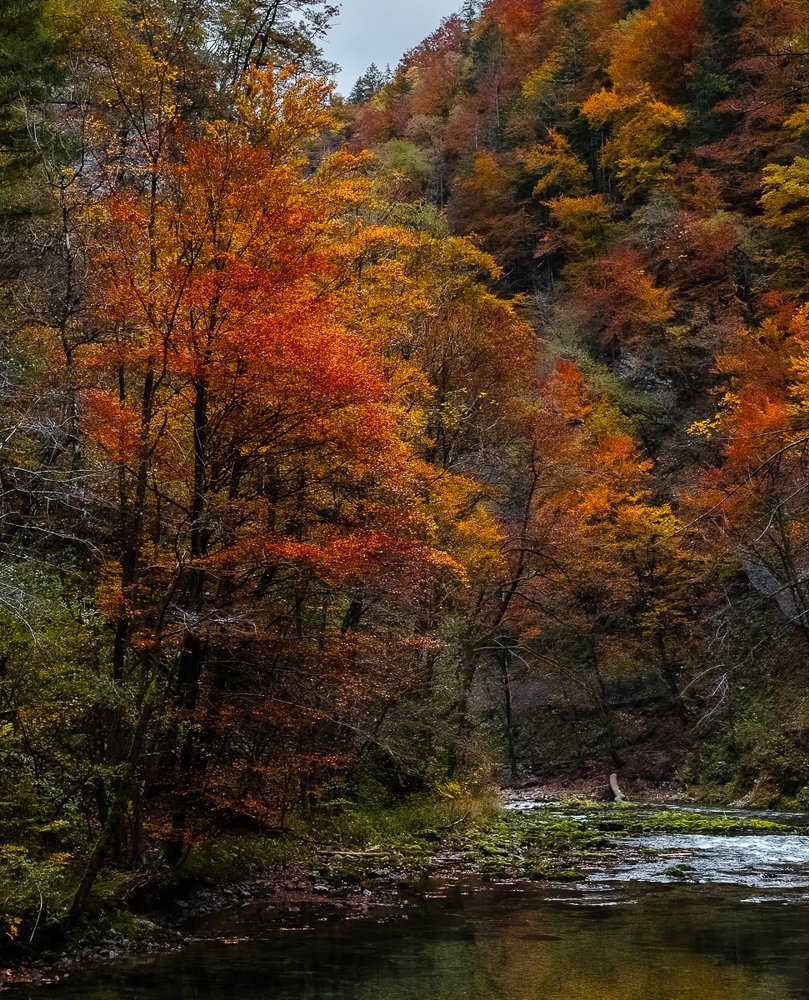 Photograph by Анна Кныш