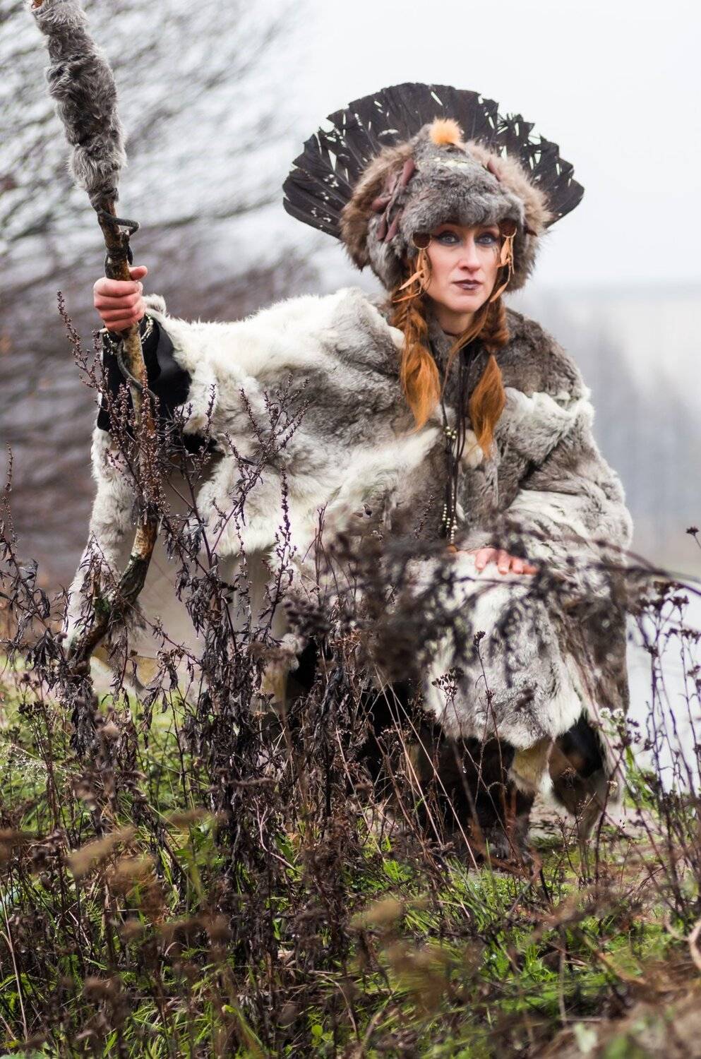 Photo #4379744