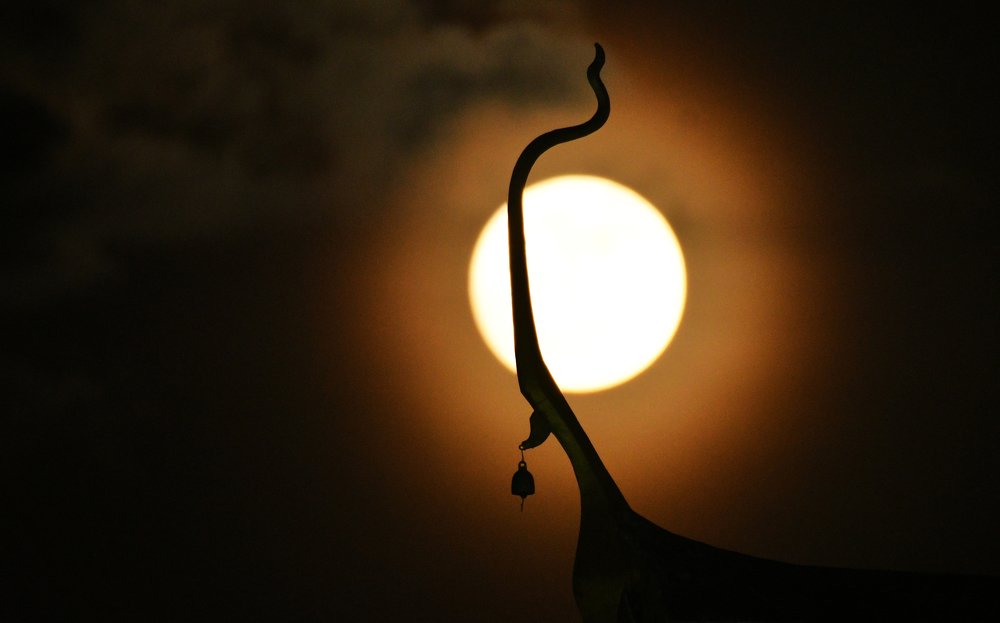 Photograph by Taiteep