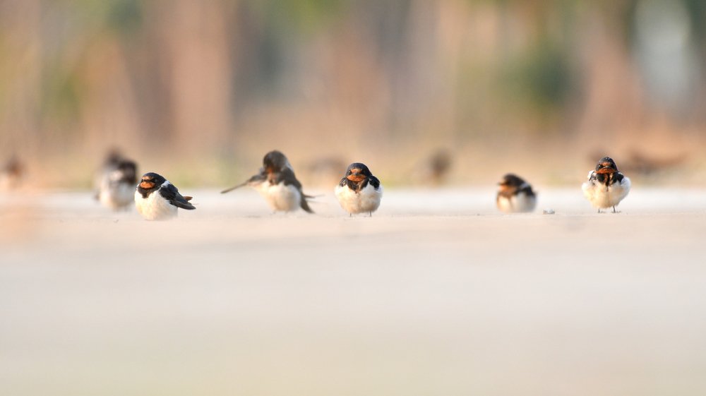 Photograph by Taiteep