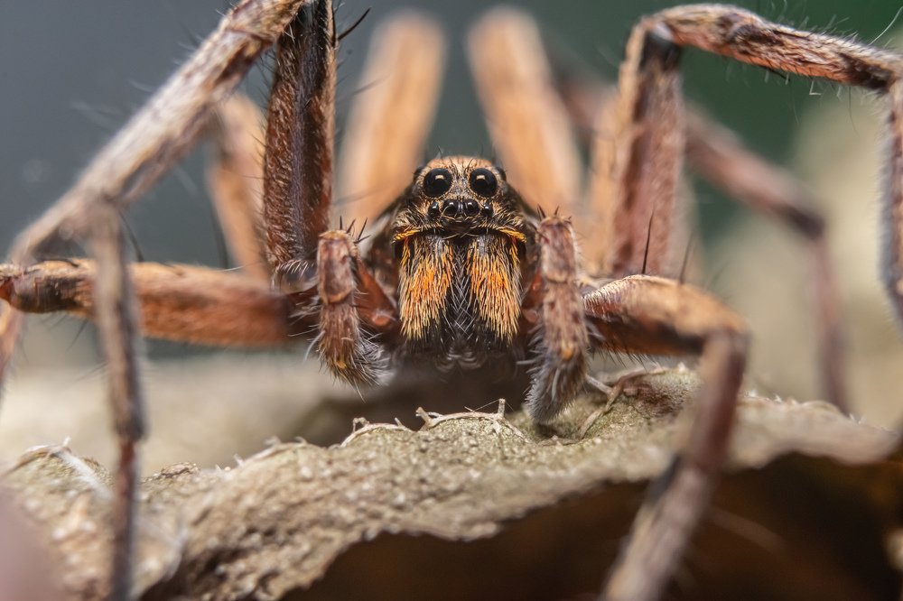 Photograph by achmad kamal kamal