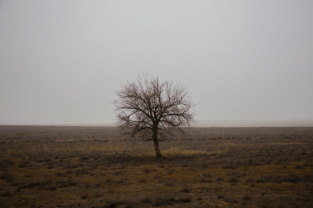 Photograph by Мельчаков Иван