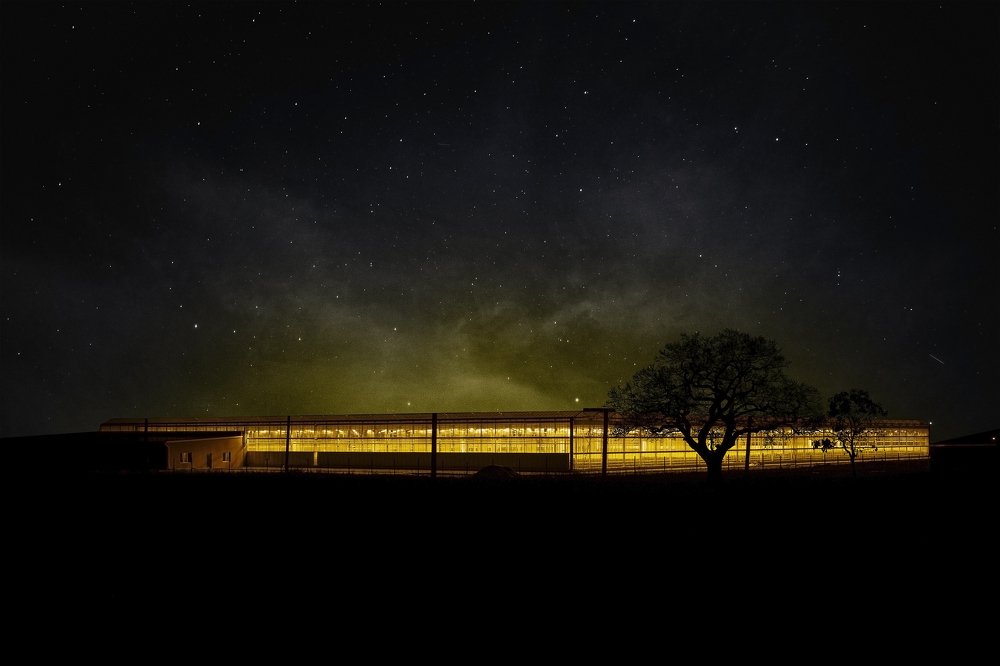 Photograph by Мельчаков Иван