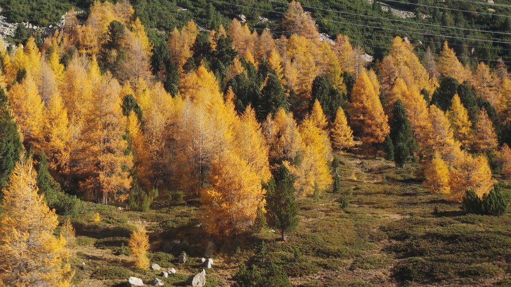 Photograph by Malavika Yoganandhan