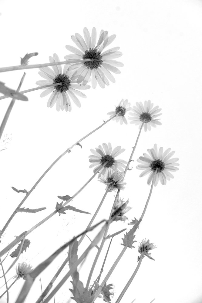 Photograph by Щербакова Галина