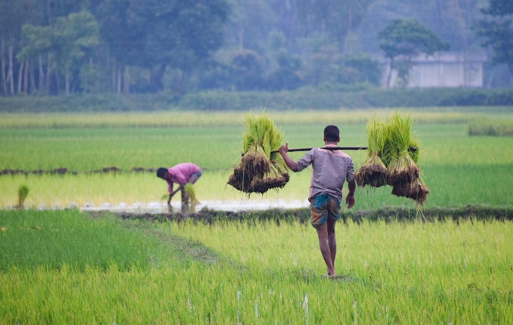 Photograph by Ahmad Shuvo