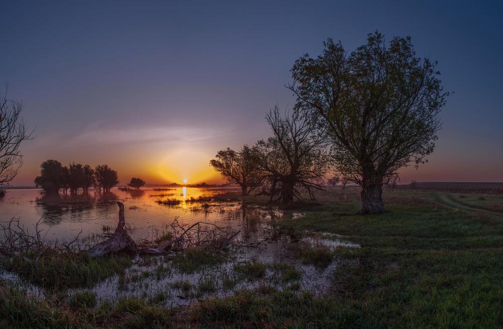 Photograph by Сергей цыбизов