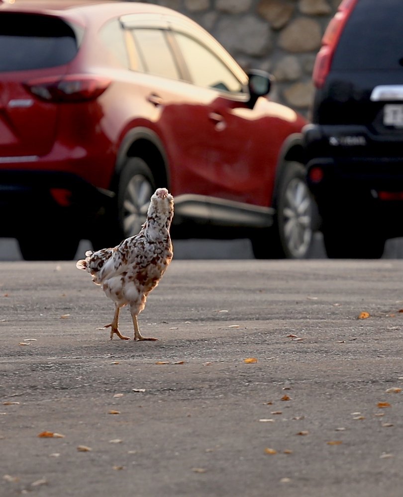 Photograph by  Михаил