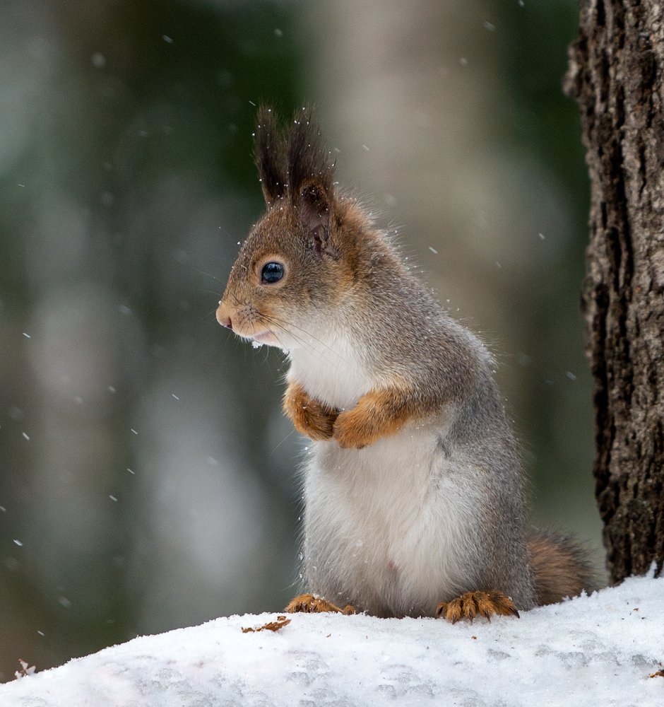 Photograph by Олег Пученков
