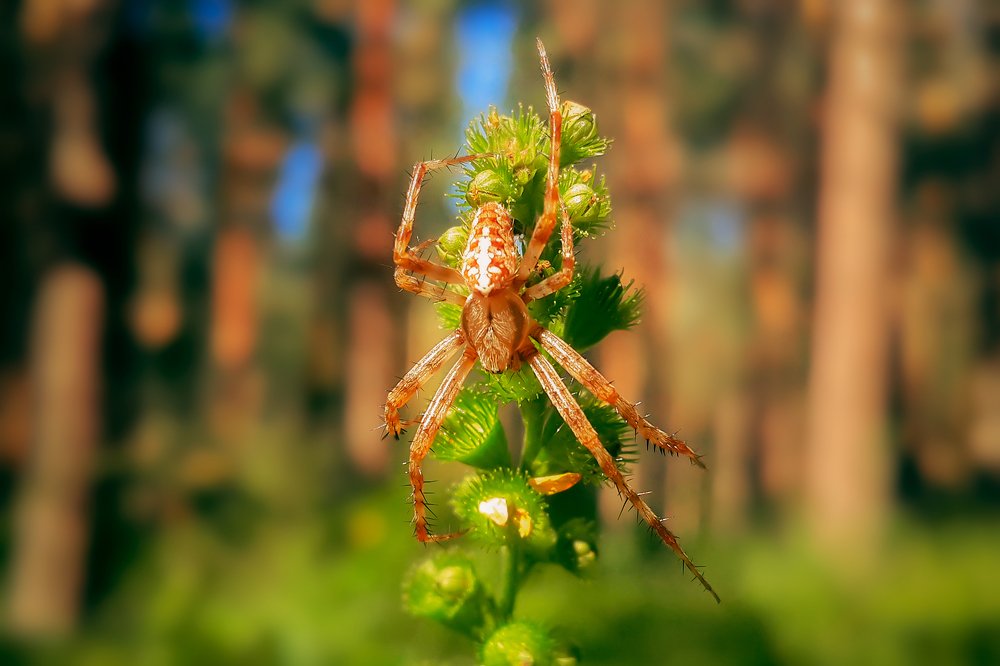 Photograph by Дмитрий Демидович