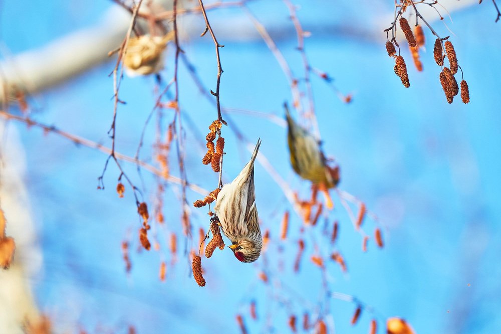 Photograph by Йомка