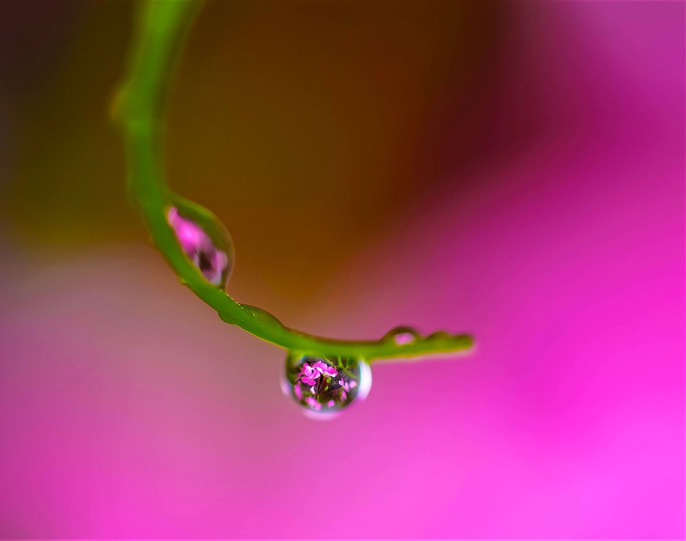 Photograph by Karina Elena Bergagna