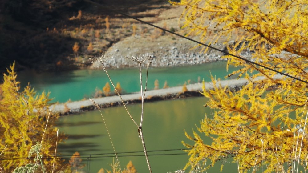 Photograph by Malavika Yoganandhan