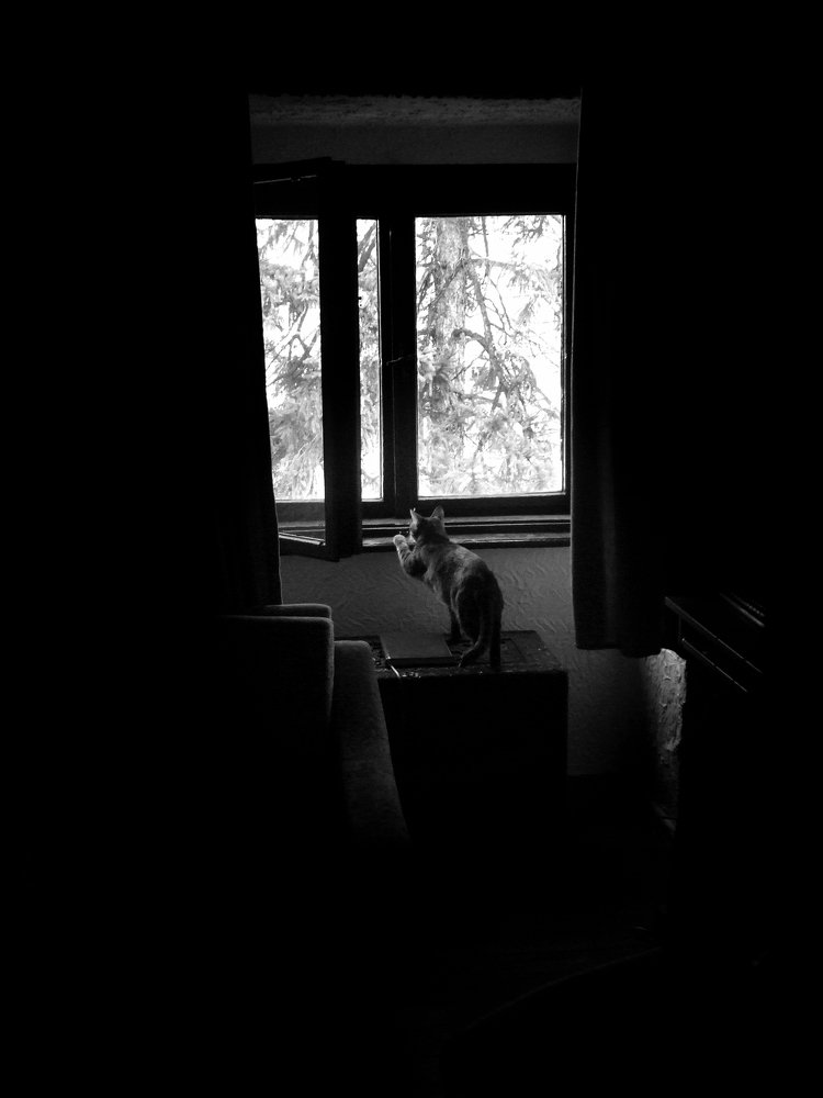 Photograph by Slavica Trajkovic