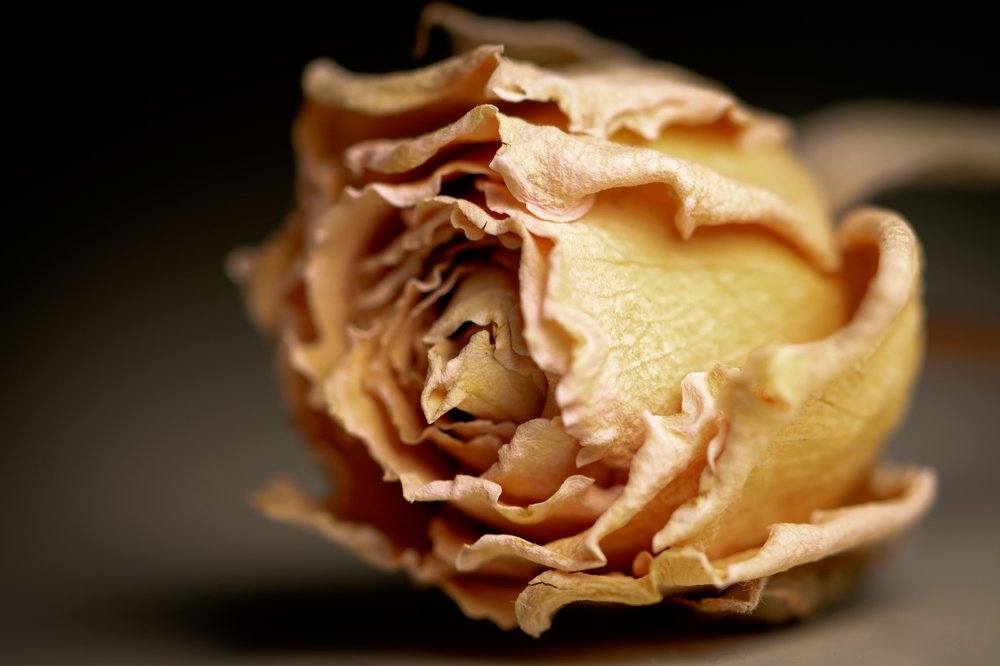 The story of one love ...