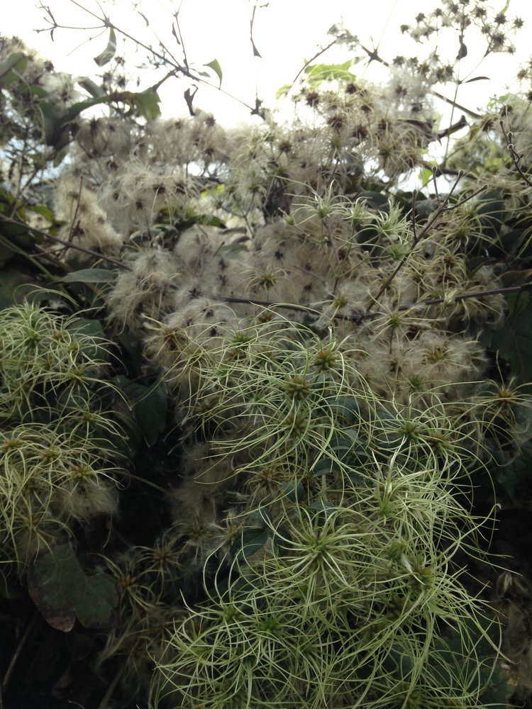 Photograph by Столярова Ольга