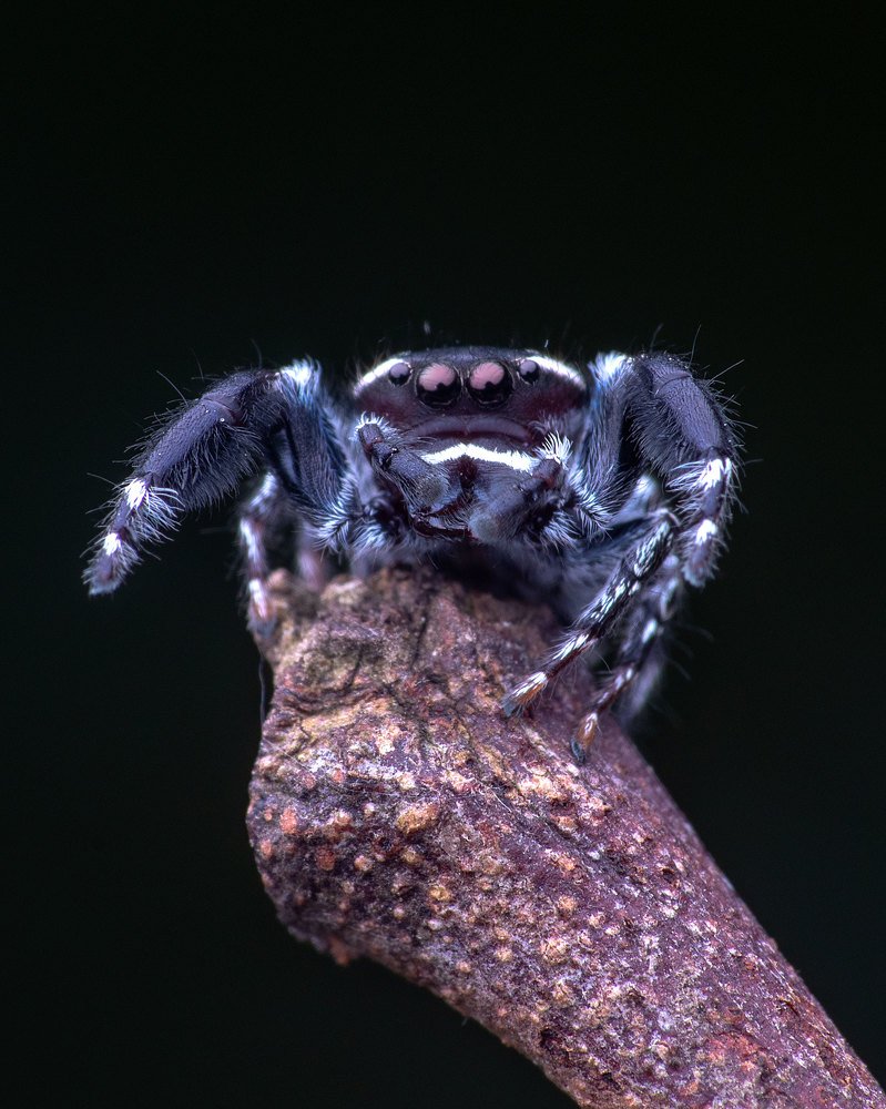 Photograph by Soujanya Bhadra