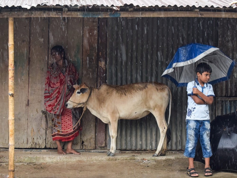 Photograph by Ahmad Shuvo